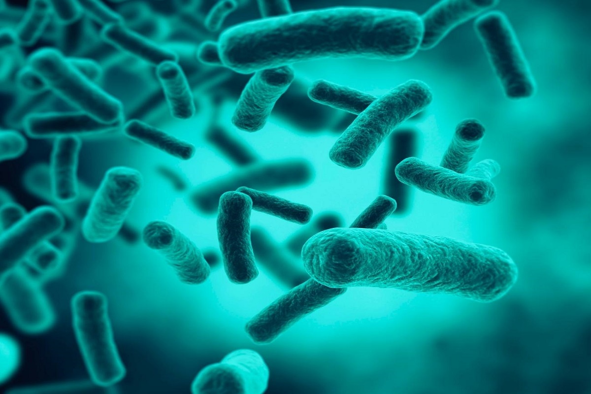 How Long Does It Take For Bacteria To Grow In Stagnant Water